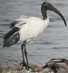 Heiligeibis170904