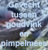 Goudmees