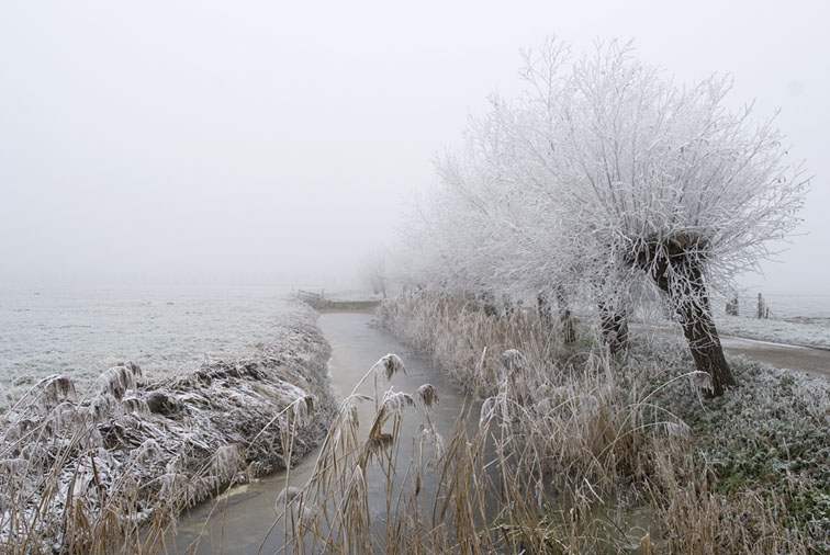 Lagenwaardsepolder201207