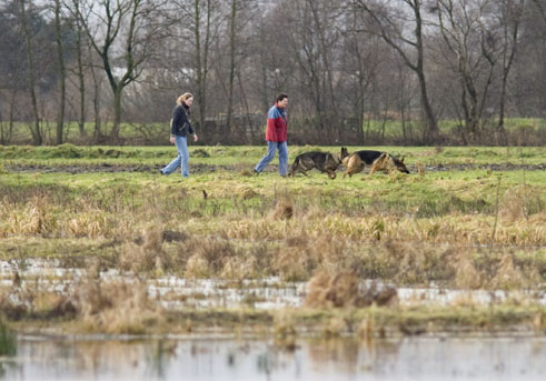 Zaansrietveld060207A