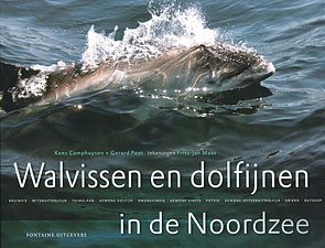 Walvissen_dolfijnen_Noordzee