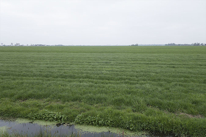 Polders230415.jpg