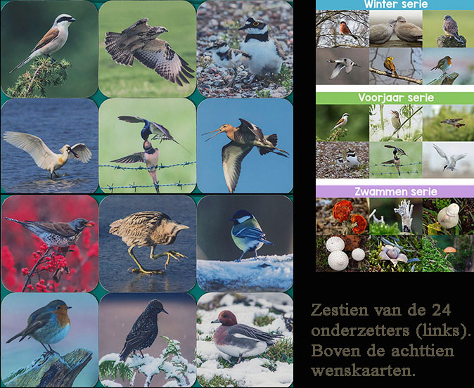 Vogeldagboekwinkel071215.jpg