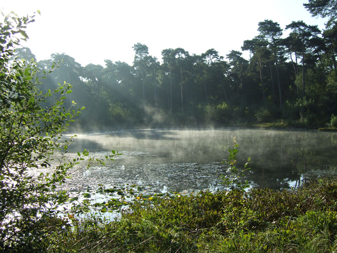 Brouwkuip120810D.JPG