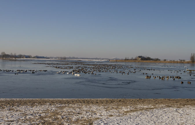 Zoetermeerseplas070212.jpg