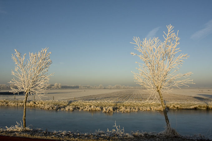 Gelderswoude090109.JPG