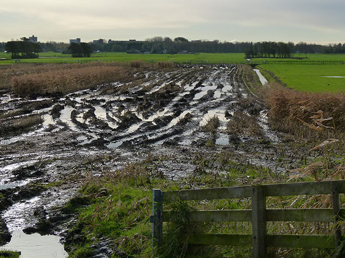 Meerpolder021112