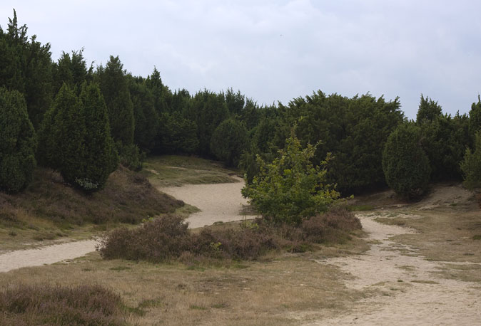 Mantingerzand250909.JPG